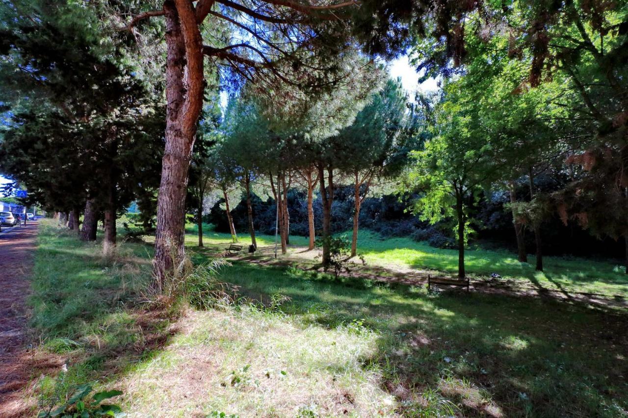 Aurelia Relax Apartment Rome Exterior photo